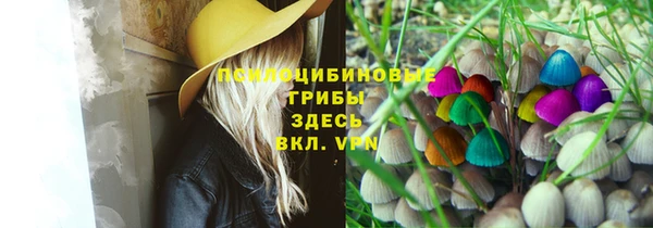 твердый Верея