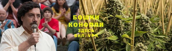 твердый Верея