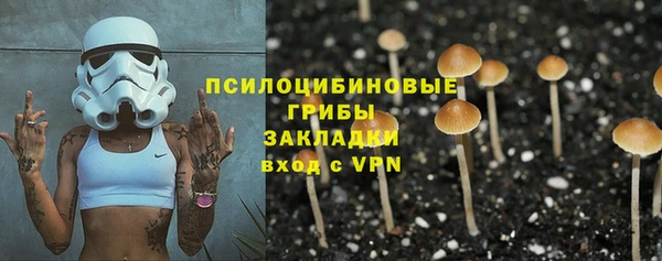 а пвп мука Верхний Тагил