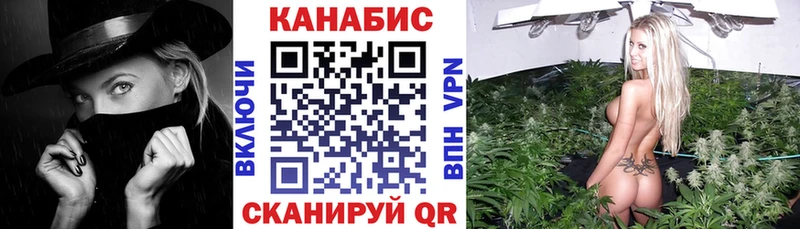 Канабис сатива Троицк